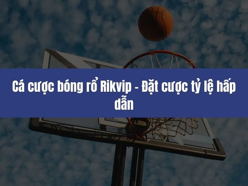 Cá cược bóng rổ Rikvip