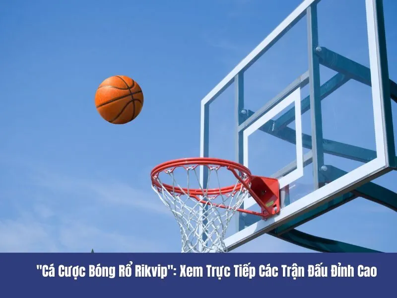 Cá cược bóng rổ Rikvip