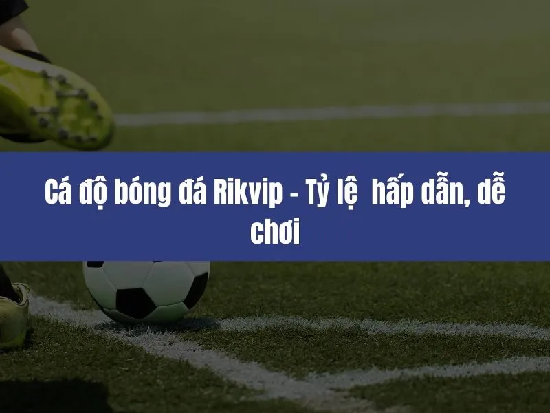 Cá độ bóng đá Rikvip