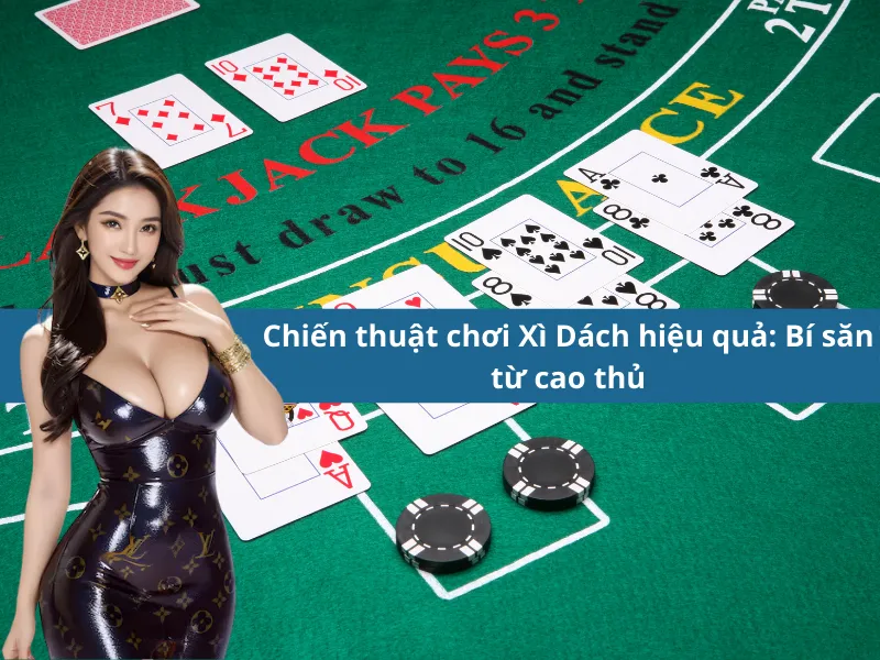 Chiến thuật chơi Xì Dách hiệu quả: Bí săn từ cao thủ