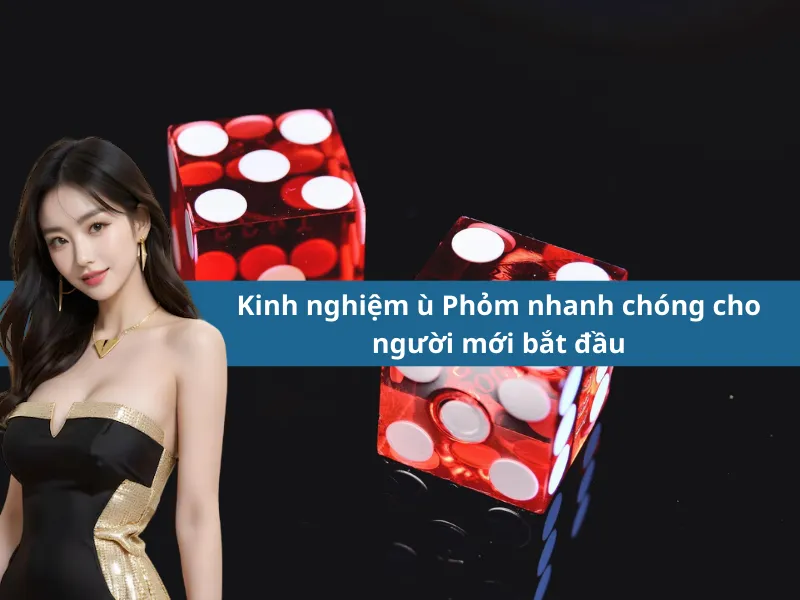 Kinh nghiệm ù Phỏm nhanh chóng cho người mới bắt đầu