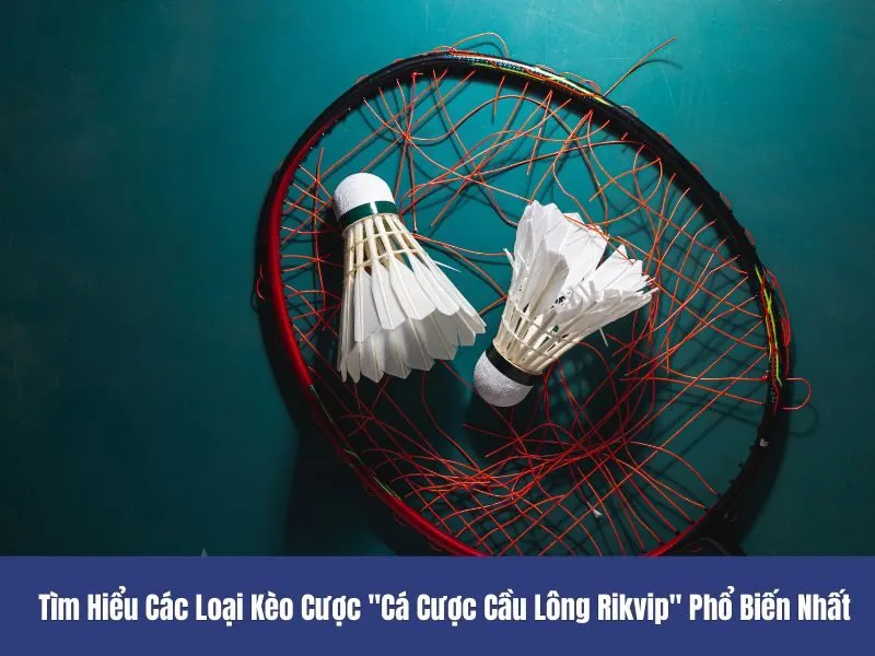 Cá cược cầu lông Rikvip